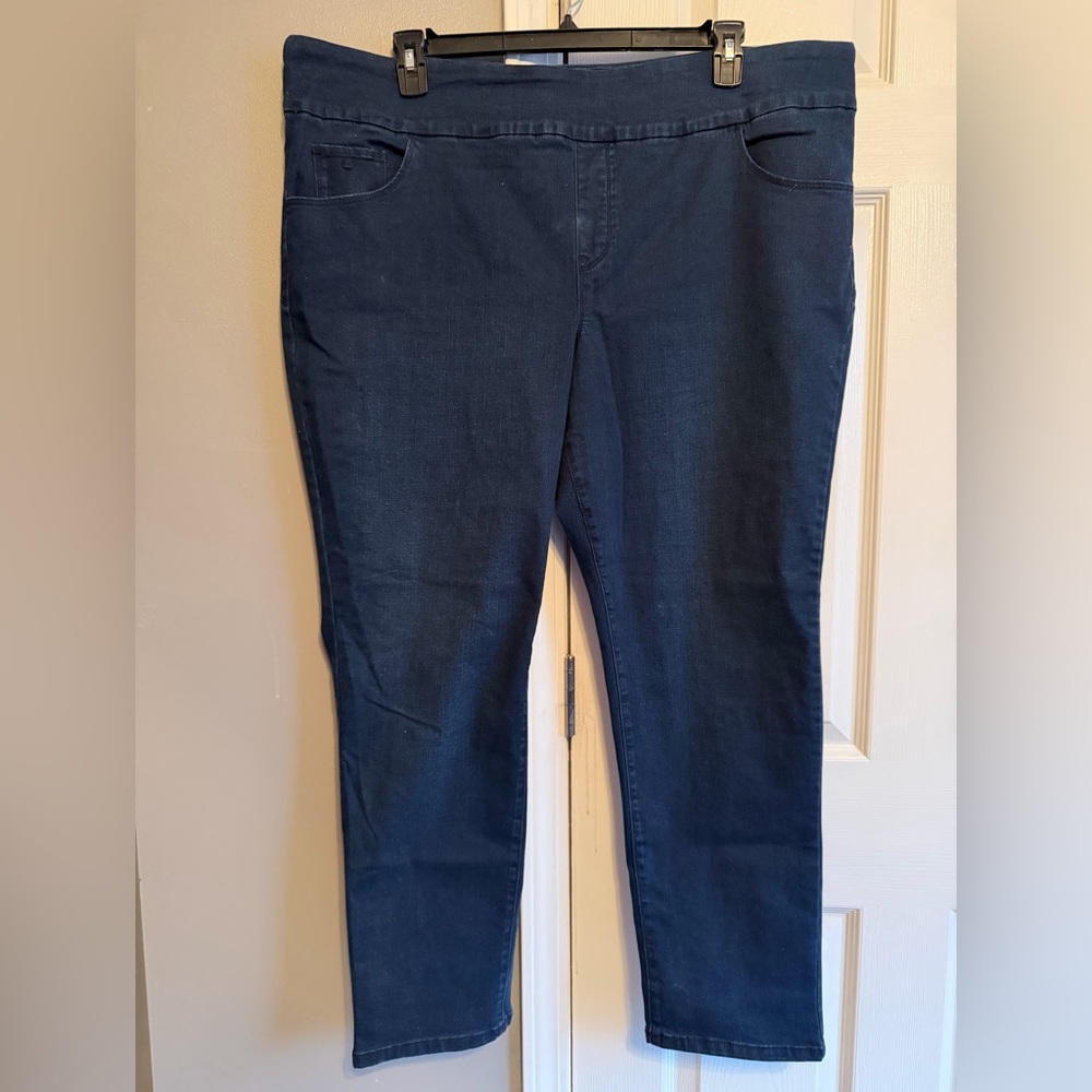 Women's Gloria Vanderbilt pull on Jeggings 22W